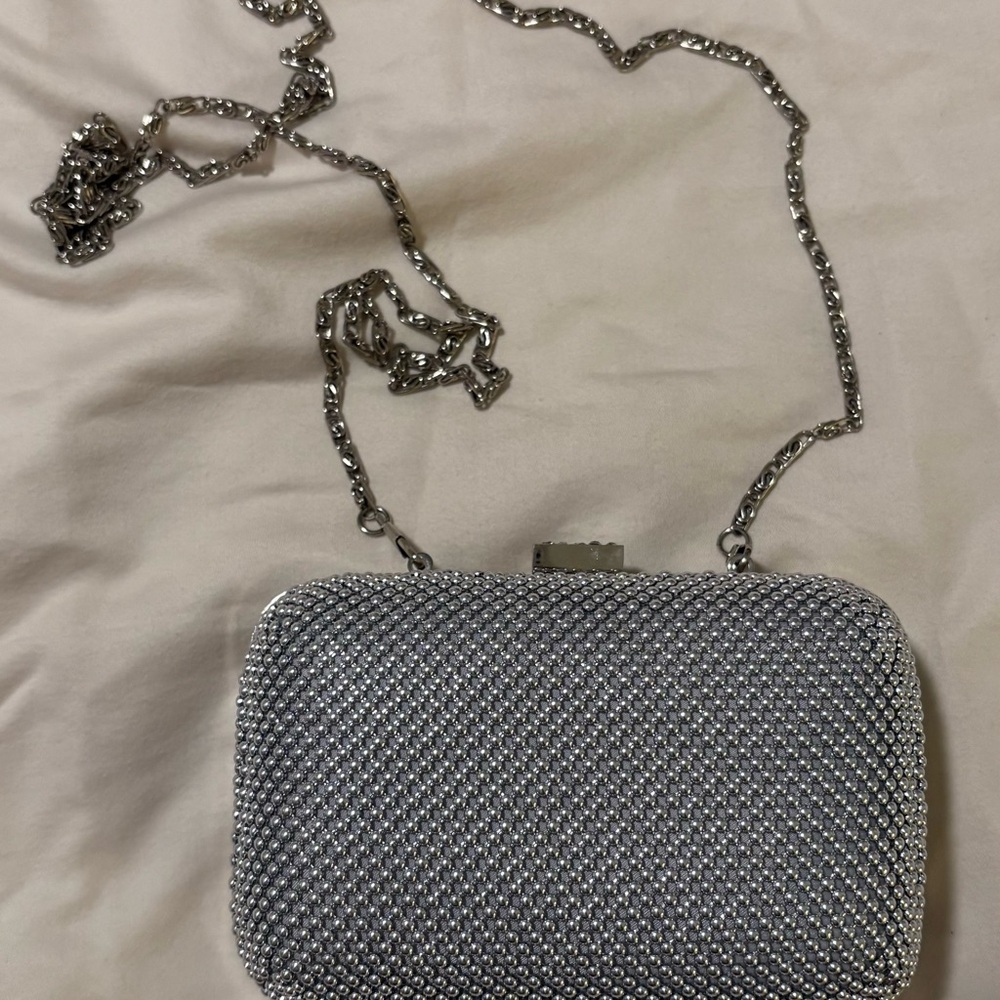 La Regale Silver Mesh Clutch